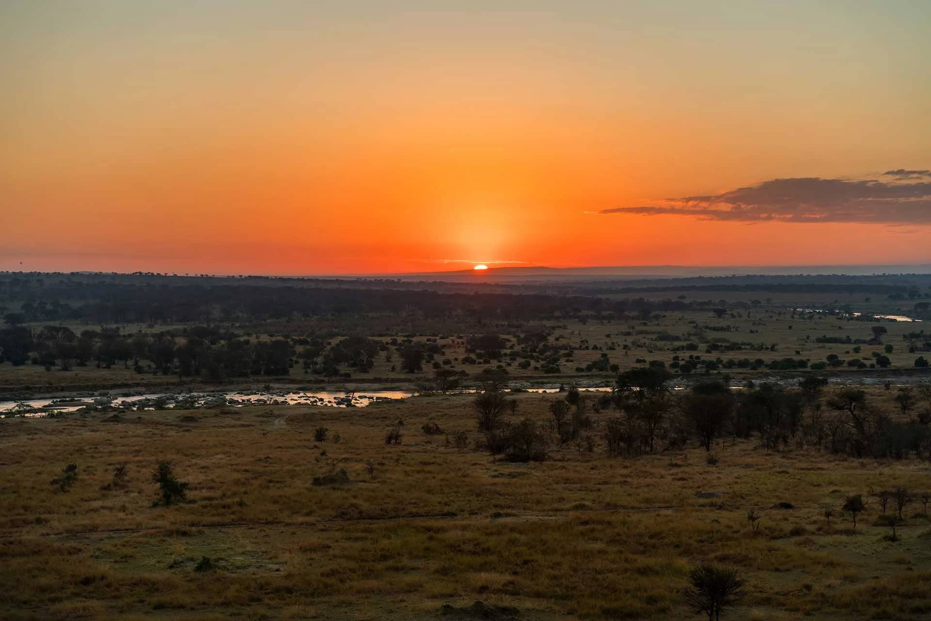 Open savannah beneath a glowing sunset sky